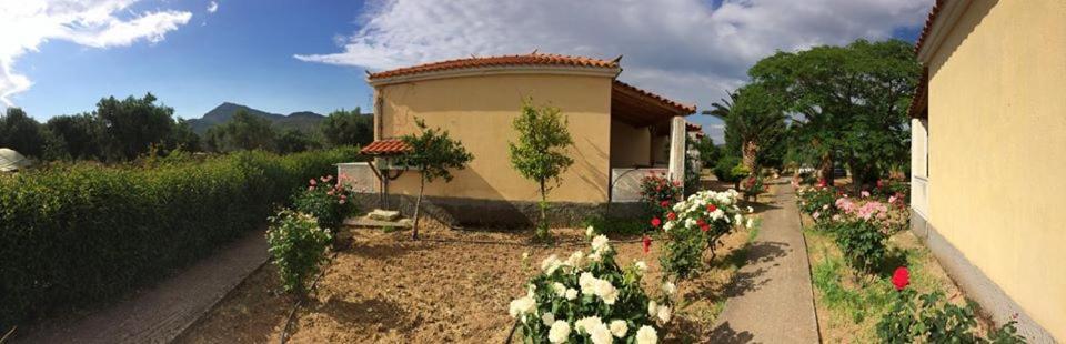 Oasis Studios Skala Kallonis Exterior photo